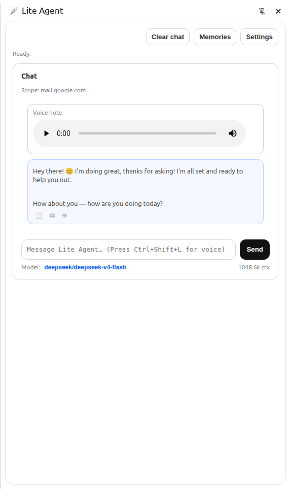 Voice input in Lite Agent
